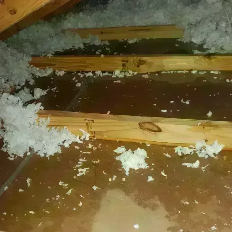 Attic Water Damage in Northville, MI