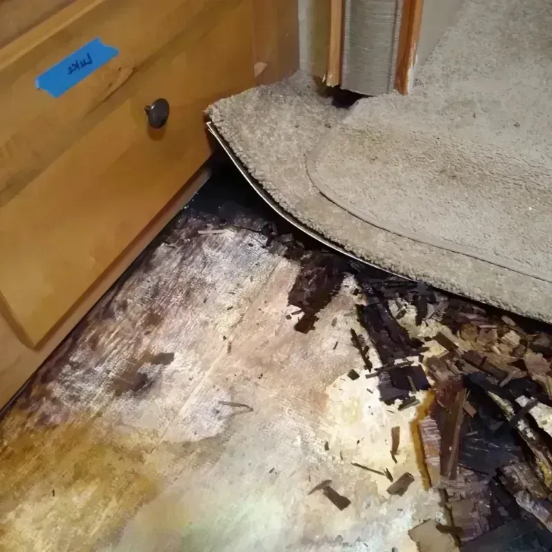 Wood Floor Water Damage in Northville, MI